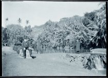 Three priests near stream, Moanalua Gardens, Oahu.